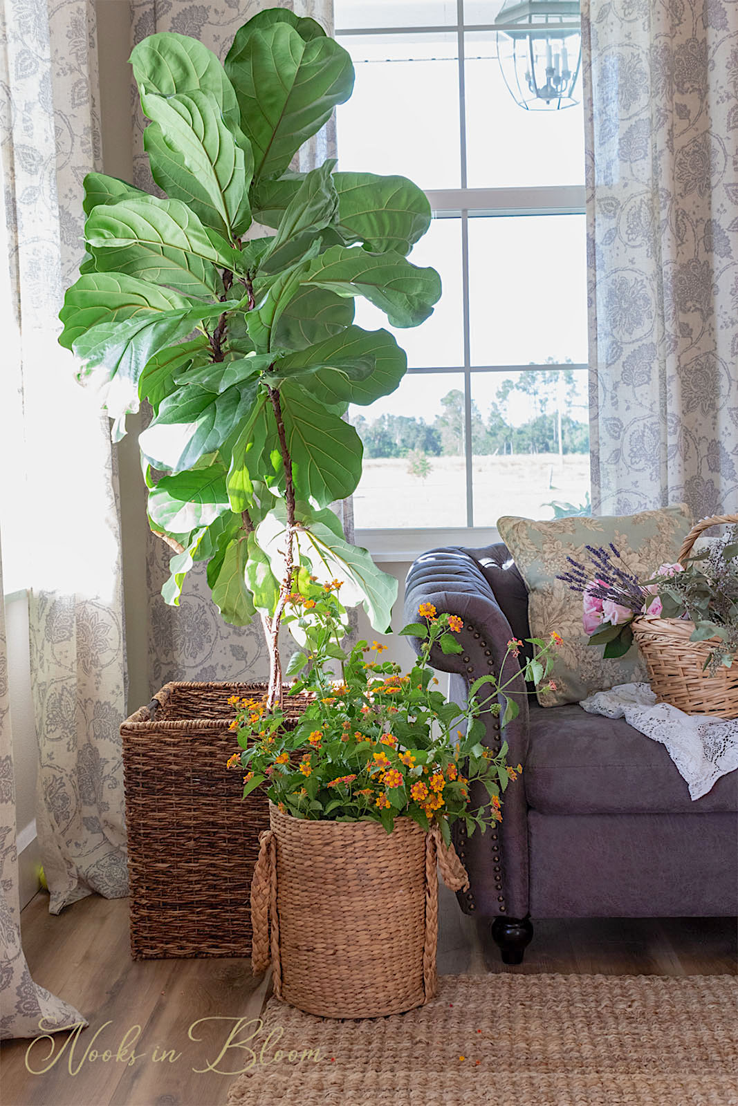 Decorating With Plants I How To Pick The Right Plants For Your Space ...